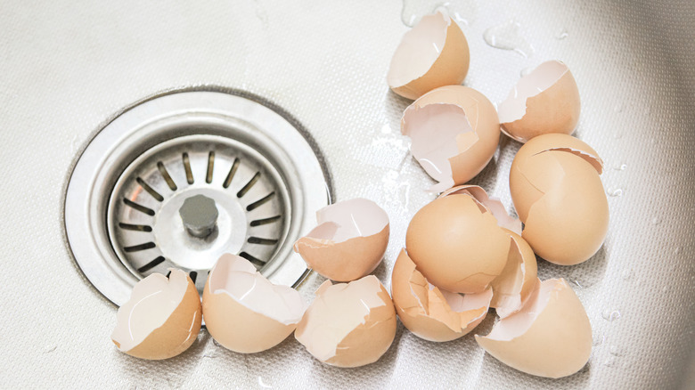 eggshells in sink