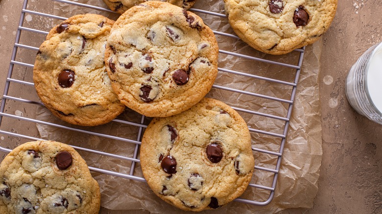 Chocolate chip cookies cooling