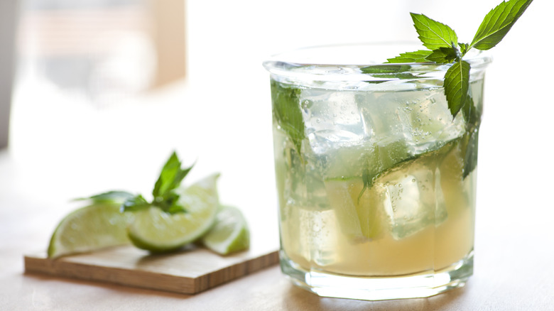 Mojito with ice and mint