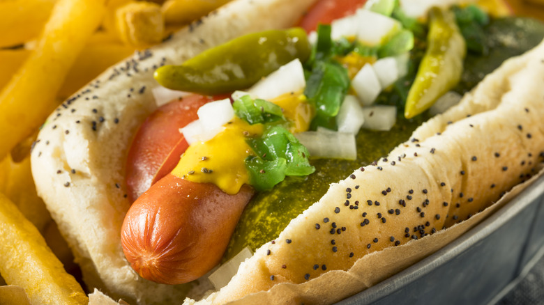 Closeup of a Chicago style hot dog with fries